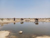auf dem Weg nach Elephant Sands.jpg &ndash; &copy; Kathrin Mickan (Eberhardt TRAVEL)
