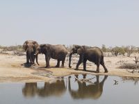 auf dem Weg nach Elephant Sands.jpg &ndash; &copy; Kathrin Mickan (Eberhardt TRAVEL)