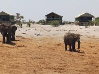 angekommen Lodge Elephant Sands.jpg &ndash; &copy; Kathrin Mickan (Eberhardt TRAVEL)