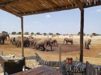 Elephant Sands.jpg &ndash; &copy; Kathrin Mickan (Eberhardt TRAVEL)