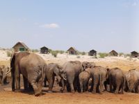 Elephant Sands.jpg