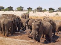 kommen und gehen.jpg &ndash; &copy; Kathrin Mickan (Eberhardt TRAVEL)