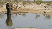 Idyll Elephant Sands.JPG &ndash; &copy; Kathrin Mickan (Eberhardt TRAVEL)