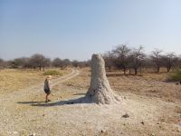 riesig die Termitenhügel.jpg &ndash; &copy; Kathrin Mickan (Eberhardt TRAVEL)