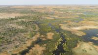 Heli-Flug Okavango Delta.JPG &ndash; &copy; Kathrin Mickan (Eberhardt TRAVEL)