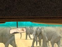&copy; Kathrin Mickan (Eberhardt TRAVEL)