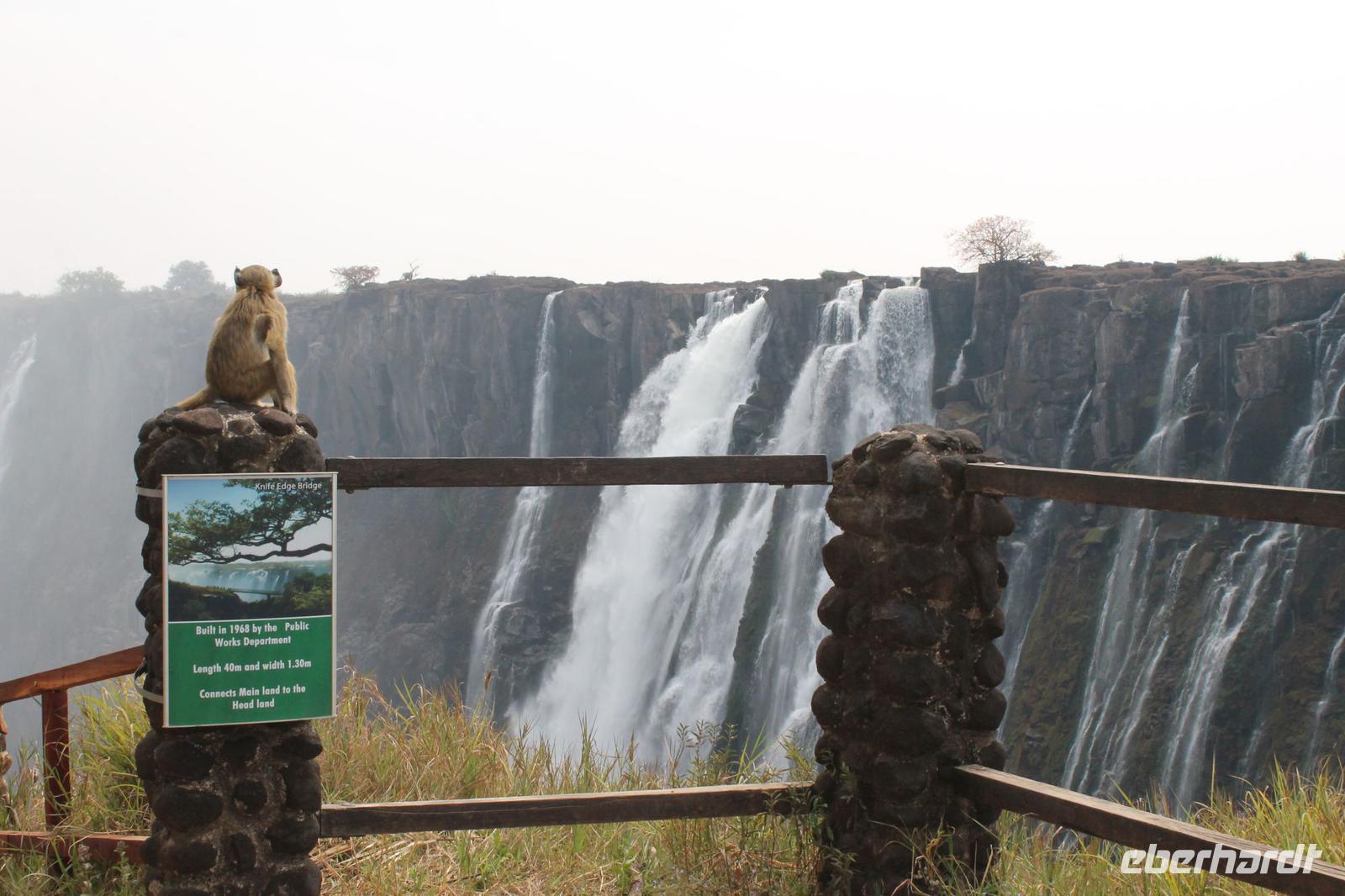 IMG__1764 &ndash; &copy; Vicky Kern (Eberhardt TRAVEL)