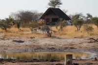 Elephants Game Reservat &ndash; &copy; Vicky Kern (Eberhardt TRAVEL)
