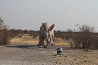 Erdferkel &ndash; &copy; Vicky Kern (Eberhardt TRAVEL)