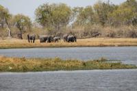 Elefanten am Wasser &ndash; &copy; Vicky Kern (Eberhardt TRAVEL)