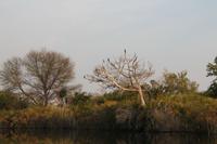 Geier &ndash; &copy; Vicky Kern (Eberhardt TRAVEL)
