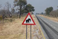 Achtung Elefanten &ndash; &copy; Vicky Kern (Eberhardt TRAVEL)