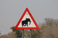 Achtung Elefanten &ndash; &copy; Vicky Kern (Eberhardt TRAVEL)