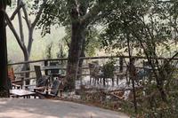 Namushasha Lodge &ndash; &copy; Vicky Kern (Eberhardt TRAVEL)