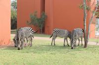 IMG__1683 &ndash; &copy; Vicky Kern (Eberhardt TRAVEL)