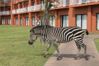 IMG__1684 &ndash; &copy; Vicky Kern (Eberhardt TRAVEL)