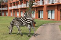 IMG__1685 &ndash; &copy; Vicky Kern (Eberhardt TRAVEL)