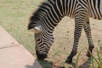 IMG__1691 &ndash; &copy; Vicky Kern (Eberhardt TRAVEL)