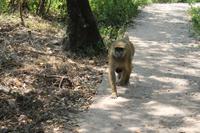 IMG__1752 &ndash; &copy; Vicky Kern (Eberhardt TRAVEL)