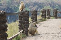 IMG__1755 &ndash; &copy; Vicky Kern (Eberhardt TRAVEL)