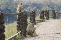 IMG__1756 &ndash; &copy; Vicky Kern (Eberhardt TRAVEL)