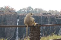 IMG__1767 &ndash; &copy; Vicky Kern (Eberhardt TRAVEL)