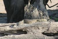 Wasserwaran &ndash; &copy; Annett Müller (Eberhardt TRAVEL)