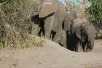 0295 &ndash; &copy; Annett Müller (Eberhardt TRAVEL)
