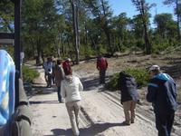 und die Gäste folgen der Löwenspur &ndash; &copy; Annett Müller (Eberhardt TRAVEL)