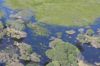 Okavango Delta &ndash; &copy; Annett Müller (Eberhardt TRAVEL)
