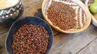 Knusprige Ameisen am Buffet der Indianer im Amazonas. @Anette Rietz &ndash; &copy; Anette Rietz (Eberhardt TRAVEL)