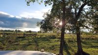 Abendlicht bei Jeep-Safari im Pantanal, Brasilien. Foto: Anette Rietz &ndash; &copy; Anette Rietz (Eberhardt TRAVEL)