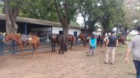 Reiten mit Pferden aus der Lodge Pequi im Pantanal. Foto: Anette Rietz &ndash; &copy; Anette Rietz (Eberhardt TRAVEL)