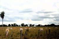 angekommen im Pantanal &ndash; &copy; Gina Egenolf (Eberhardt TRAVEL)