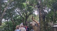 Gang durch den Park am Zuckerhut &ndash; &copy; Anette Rietz (Eberhardt TRAVEL)