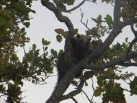Pantanal &ndash; &copy; Kerstin Hugel (Eberhardt TRAVEL)