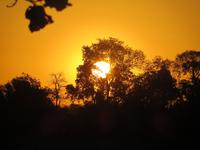 Pantanal &ndash; &copy; Kerstin Hugel (Eberhardt TRAVEL)