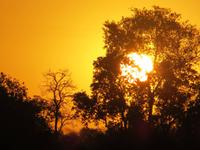 Pantanal &ndash; &copy; Kerstin Hugel (Eberhardt TRAVEL)