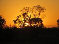 Pantanal &ndash; &copy; Kerstin Hugel (Eberhardt TRAVEL)