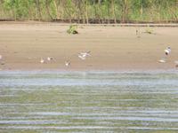 Amazonas &ndash; &copy; Kerstin Hugel (Eberhardt TRAVEL)