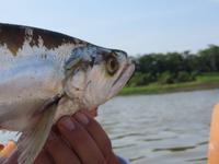 Amazonas &ndash; &copy; Kerstin Hugel (Eberhardt TRAVEL)