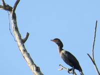 Amazonas &ndash; &copy; Kerstin Hugel (Eberhardt TRAVEL)