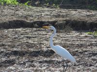 Amazonas &ndash; &copy; Kerstin Hugel (Eberhardt TRAVEL)