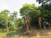 Amazonas &ndash; &copy; Kerstin Hugel (Eberhardt TRAVEL)