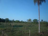050-Pantanal &ndash; &copy; Dirk Schlosser (Eberhardt TRAVEL)