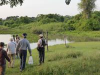 054-Pantanal &ndash; &copy; Dirk Schlosser (Eberhardt TRAVEL)