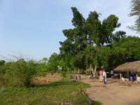 059-Pantanal &ndash; &copy; Dirk Schlosser (Eberhardt TRAVEL)