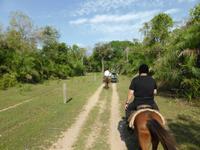 090-Pantanal_Reitausflug &ndash; &copy; Dirk Schlosser (Eberhardt TRAVEL)