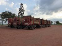 097-Holztransport-Mato_Grosso_do_Sul &ndash; &copy; Dirk Schlosser (Eberhardt TRAVEL)