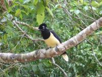 160-Parque_Nacional_Iguazu &ndash; &copy; Dirk Schlosser (Eberhardt TRAVEL)